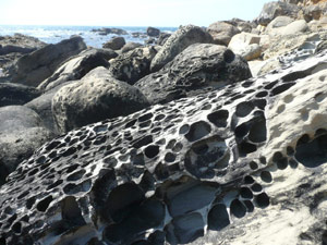 Y2sub31_saltpoint_lgview1