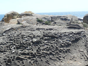 Y2sub31_saltpoint_lgview4