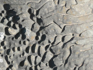 Y2sub31_saltpoint_rockclo2