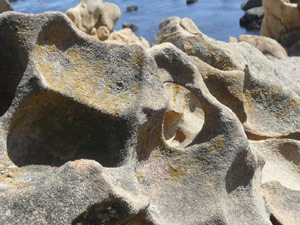 Y2sub31_saltpoint_rockclo4