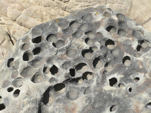 Y2sub31_saltpoint_rockclo5