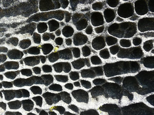 Y2sub31_saltpoint_rockclo8