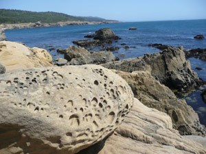 Y2sub31_saltpoint_shorel2