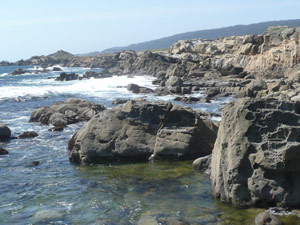 Y2sub31_saltpoint_shorel4