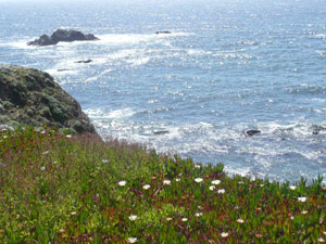 Y2sub31_seafig_landscape1