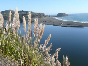 Y2sub33_Oct_pamplnd04