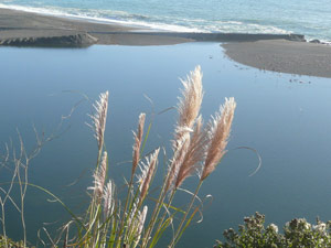 Y2sub33_Oct_pamplnd06