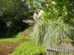 Y2sub33_Oct_pamplnd15