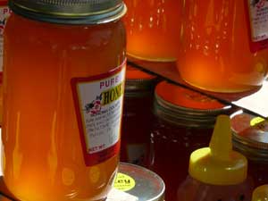 Y3sub29_JanFeb_honey