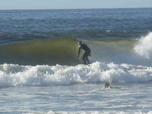 Y3sub29_JanFeb_locsurf08