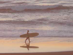 Y3sub29_JanFeb_locsurf12