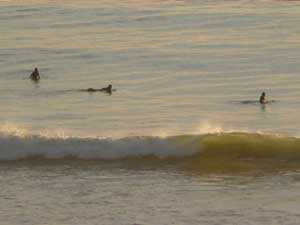 Y3sub29_JanFeb_locsurf14