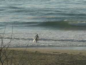 Y3sub29_JanFeb_locsurf17