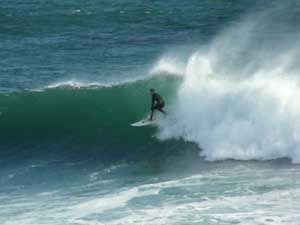 Y3sub29_JanFeb_nlocsurf06