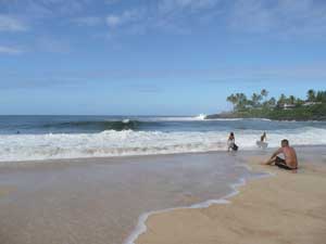 Y3sub29_JanFeb_nlocsurf11