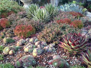 Y3sub29_JanFeb_succu17