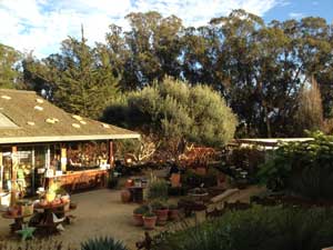 Y3sub29_JanFeb_succu19