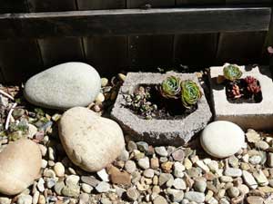 Y3sub29_JanFeb_succu33