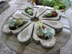 Y3sub29_JanFeb_succu36